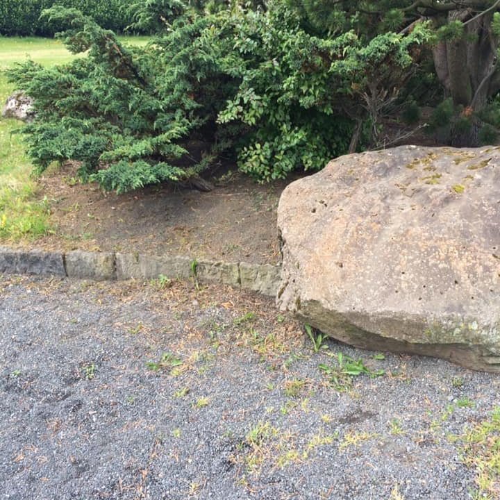 66432212_2297881240477924_5562514700278693888_n