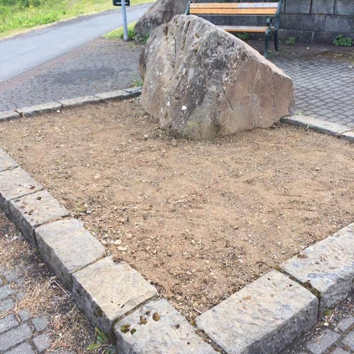 66855571_2297881117144603_5364767632807428096_n