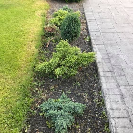 Beð meðfram stíg fyrir hreinsun