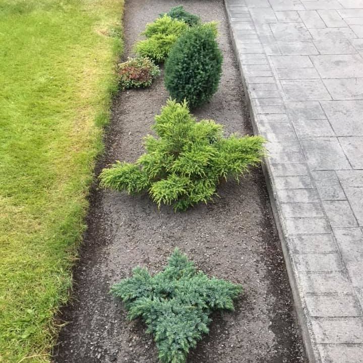 Beð meðfram stíg eftir hreinsun