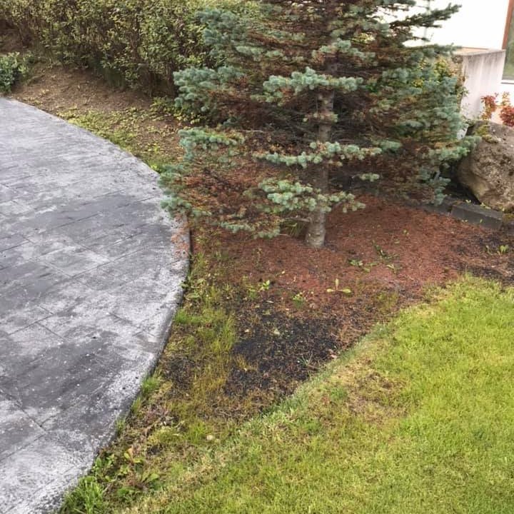 Greni fyrir hreinsun