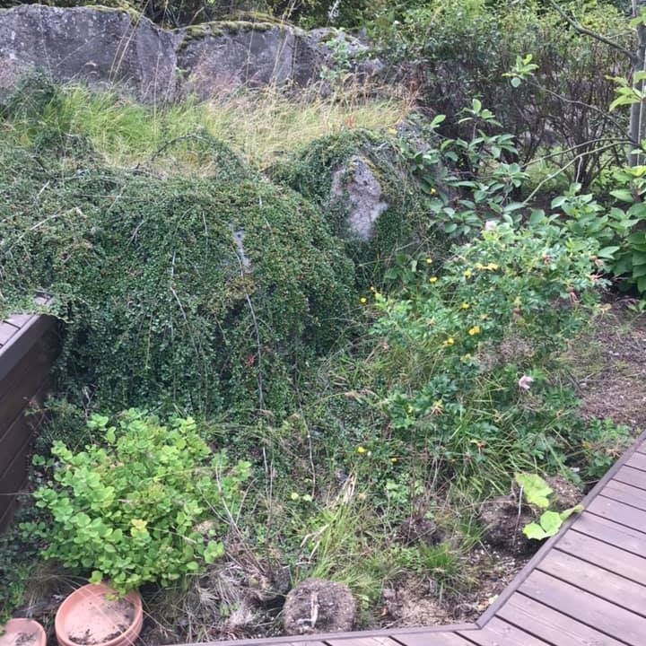 Sólpallur beð fyrir hreinsun