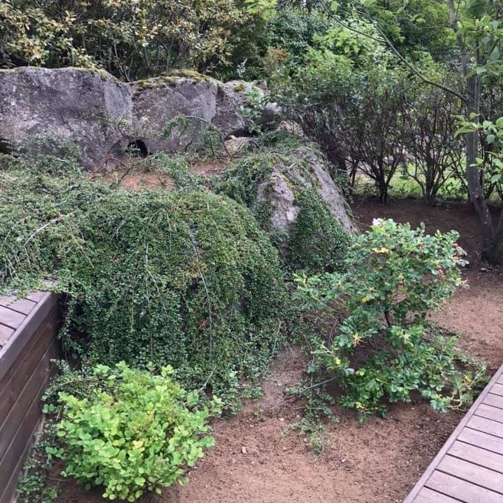 Sólpallur eftir hreinsun