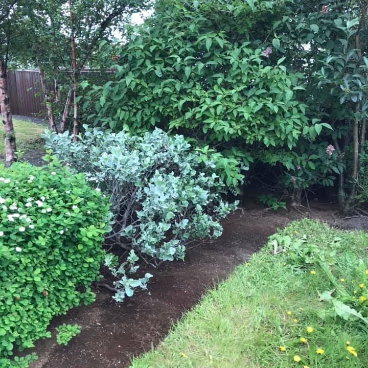 66102583_2595277927172440_1189886424107712512_n