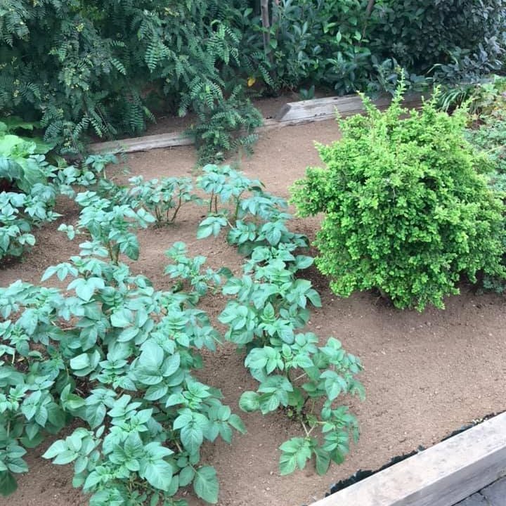 66656038_2595277443839155_4186488091529183232_n