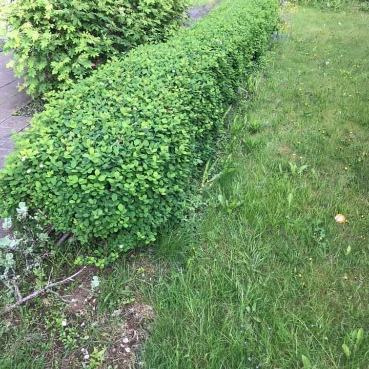 66669892_2595277670505799_5086550088143077376_n