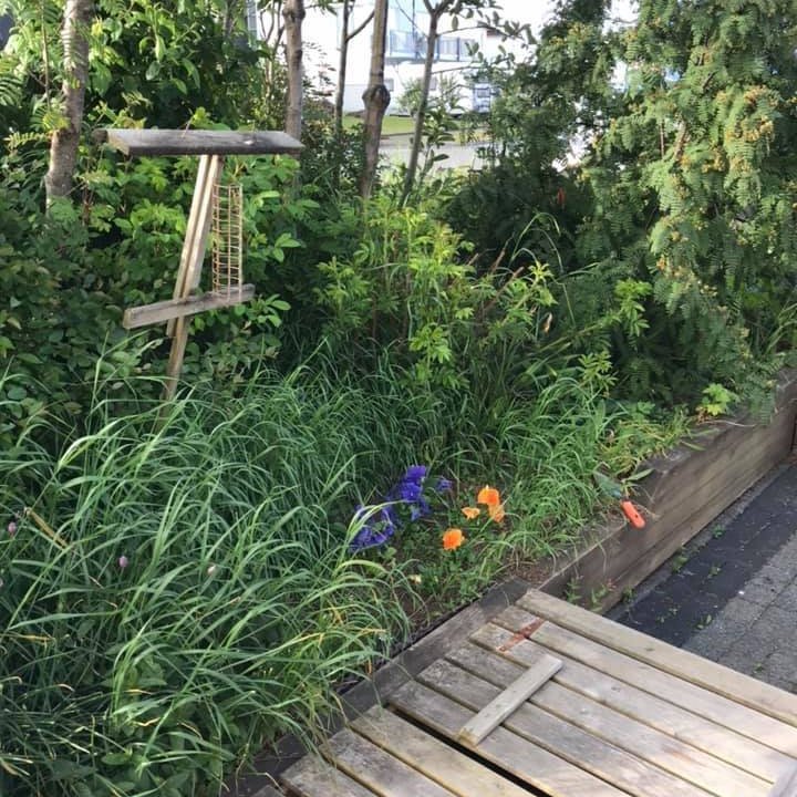 66694353_2595277467172486_7155515553514258432_n