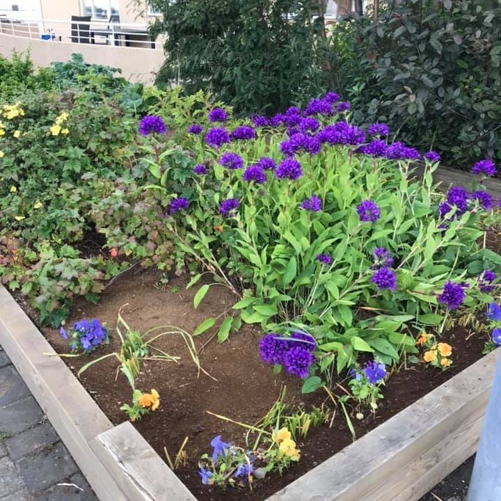 66708337_2595277280505838_7482051922640240640_n