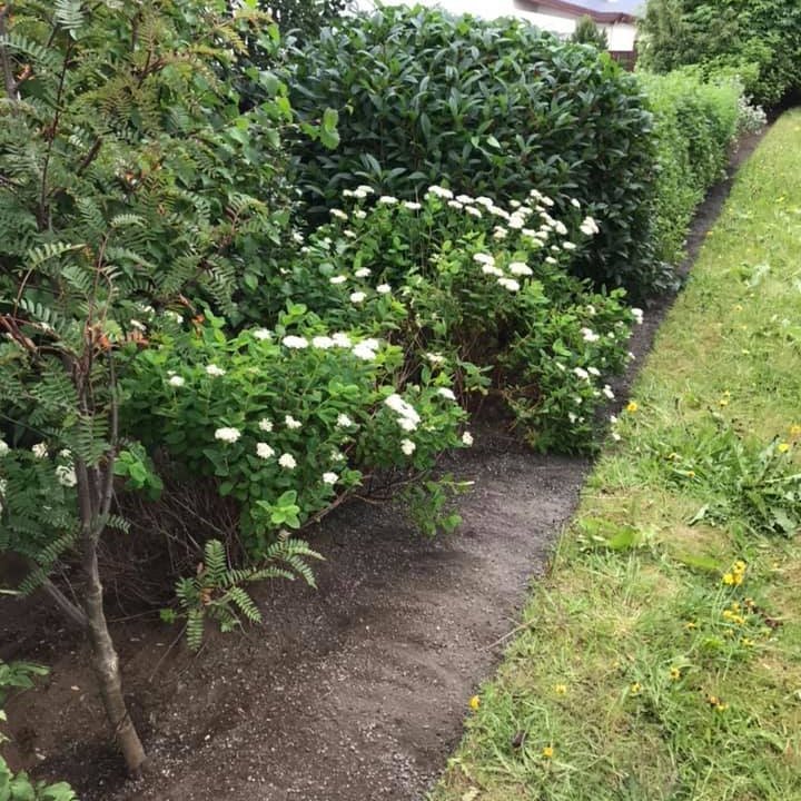 66716442_2595278037172429_7065660882017058816_n