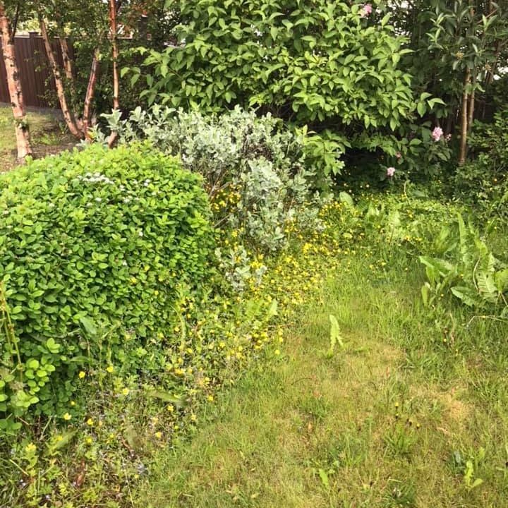 66718421_2595277793839120_7280419662112751616_n