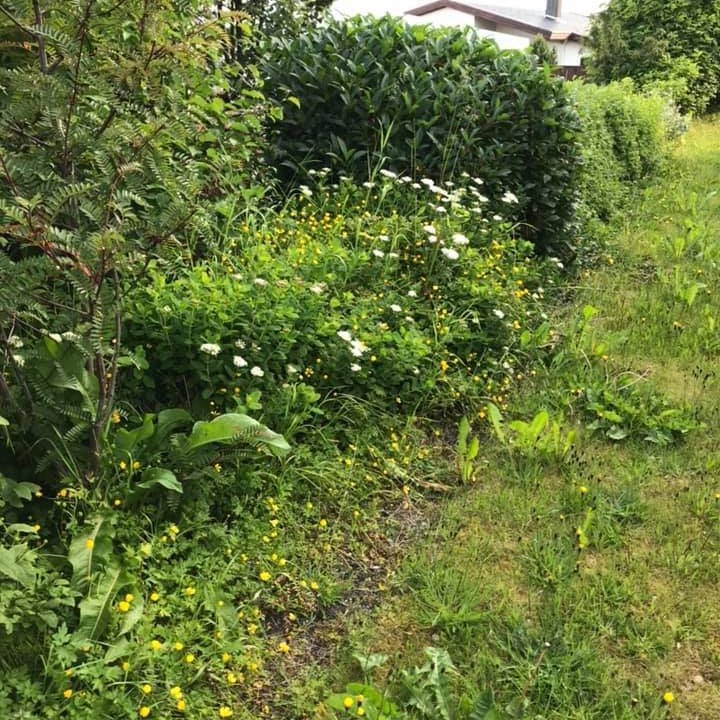 66739709_2595277937172439_5606558477502644224_n