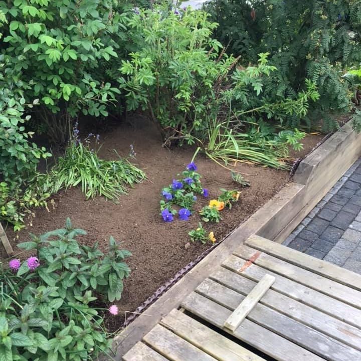 66822209_2595277557172477_2960368979715031040_n