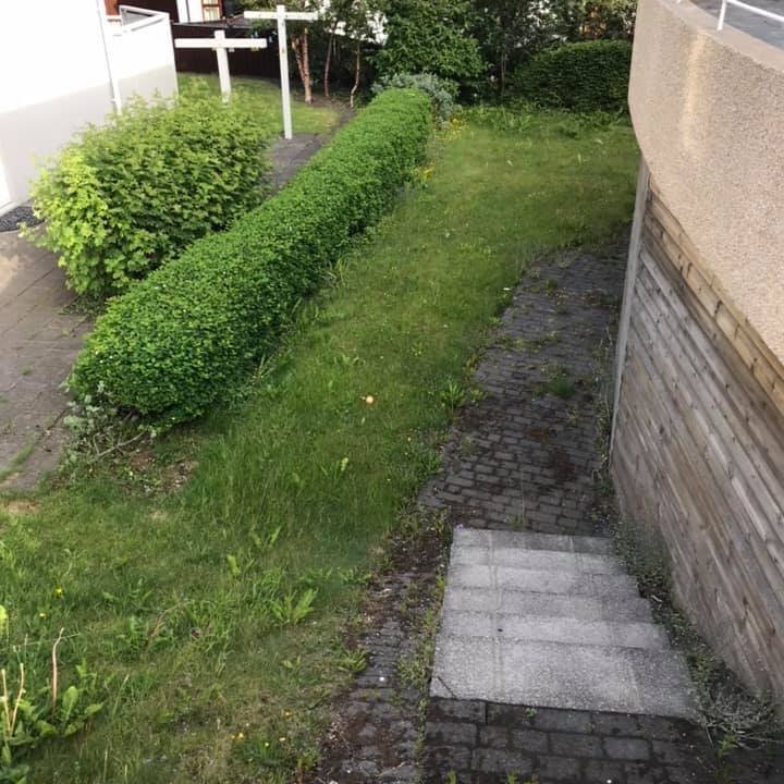 66925868_2595277573839142_3653299435380670464_n