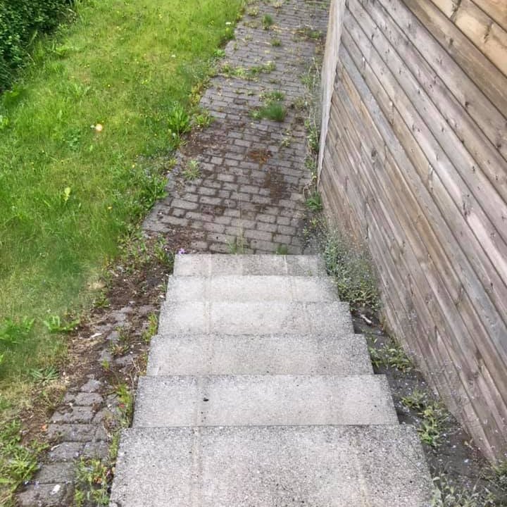 67116250_2595278300505736_1773906821363269632_n