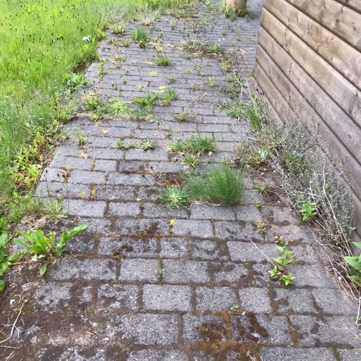 67278071_2595278457172387_5238507667458097152_n