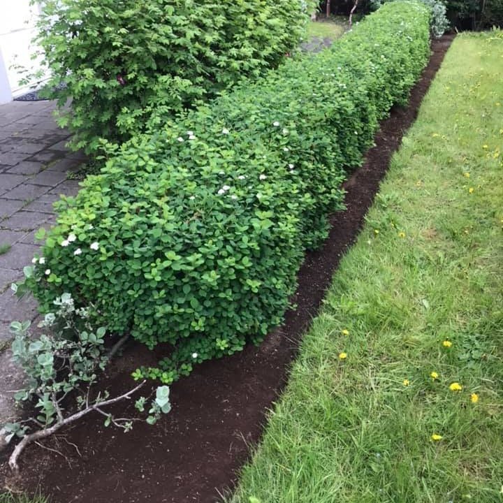 67587948_2595277760505790_3912470659808100352_n-1