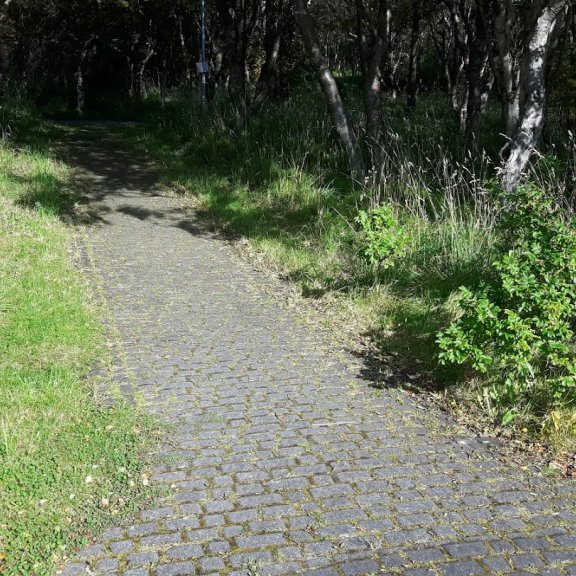 Helluhreinsun fyrir hreinsun