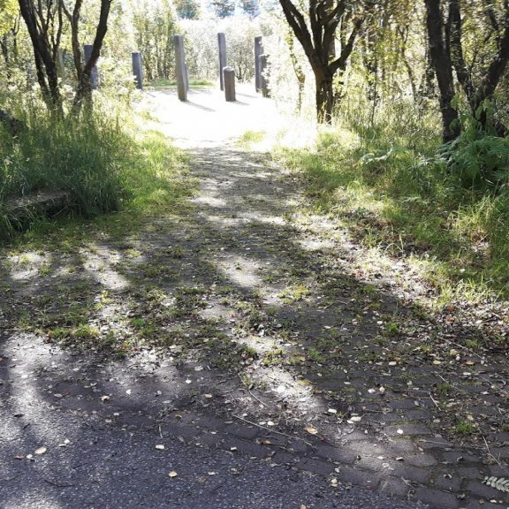 Helluhreinsun fyrir hreinsun