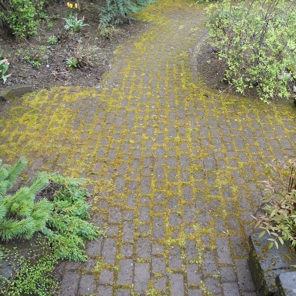 Hellur fyrir hreinsun