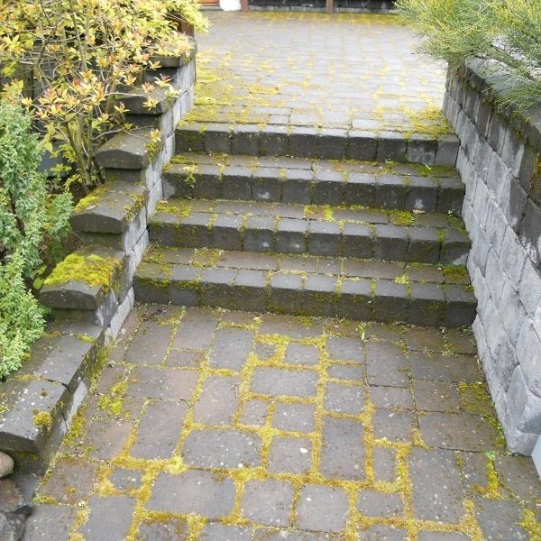 Tröppur og hellur fyrir hreinsun