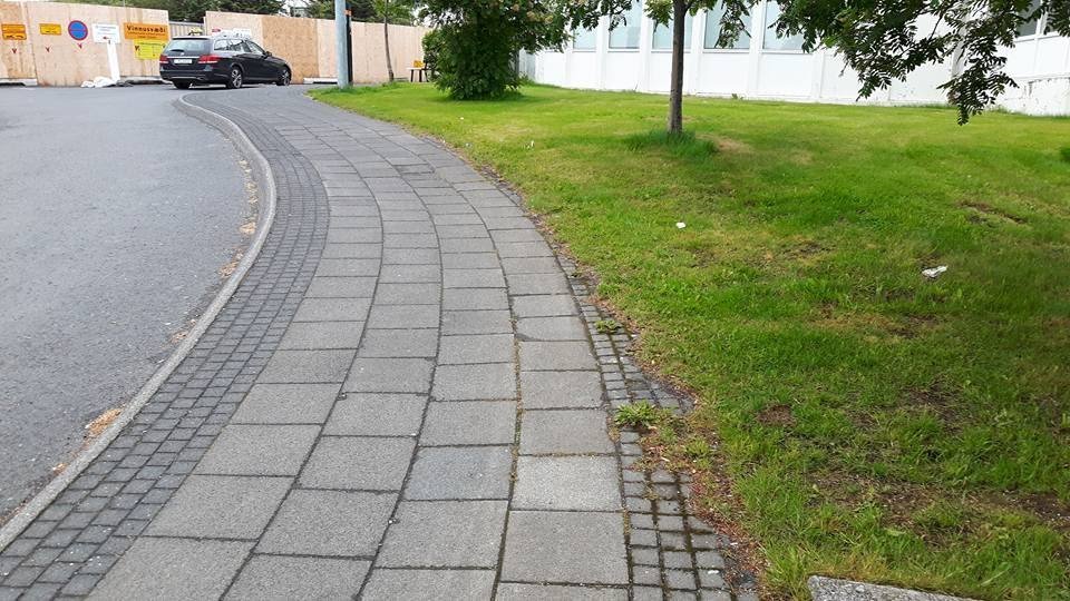 Hellur og gras