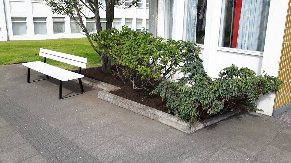 Beð við inngang eftir hreinsun