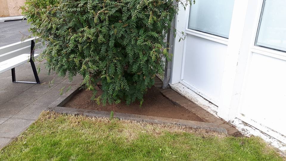 Beð eftir hreinsun