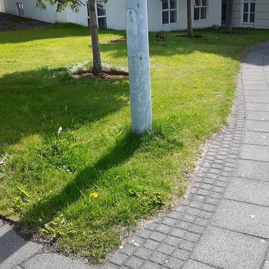 Gras,hellur og beð fyrir hreinsun