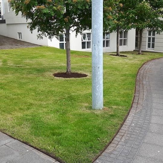 Búið að hreinsa upp hellulögn, kantskera, hringskera beð og fl.