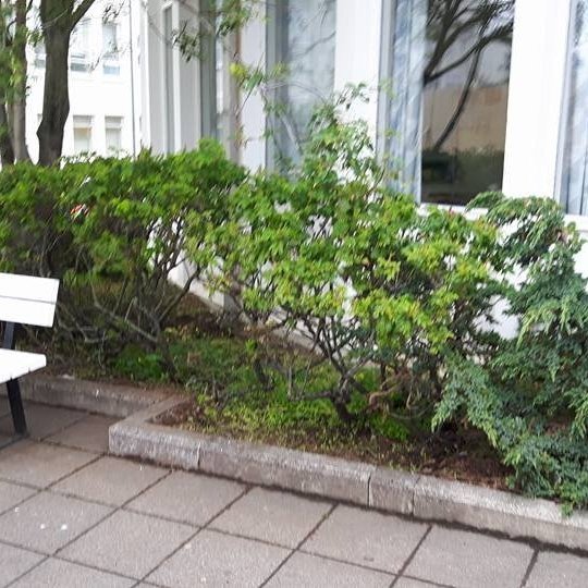 Beð við inngang fyrir hreinsun