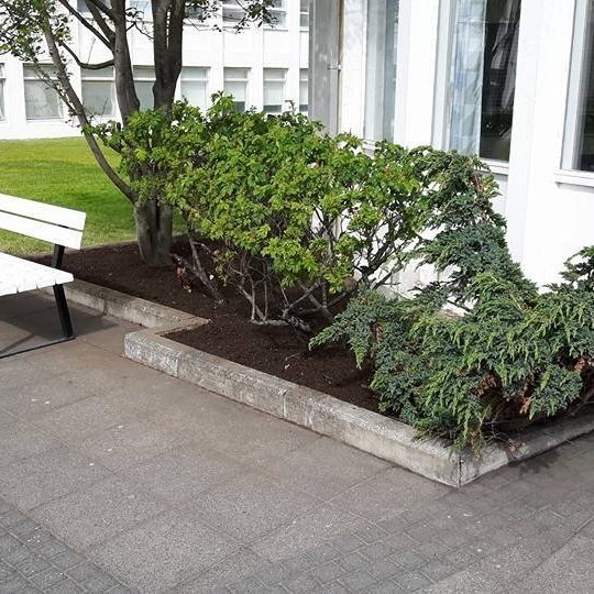 Beð við inngang eftir hreinsun