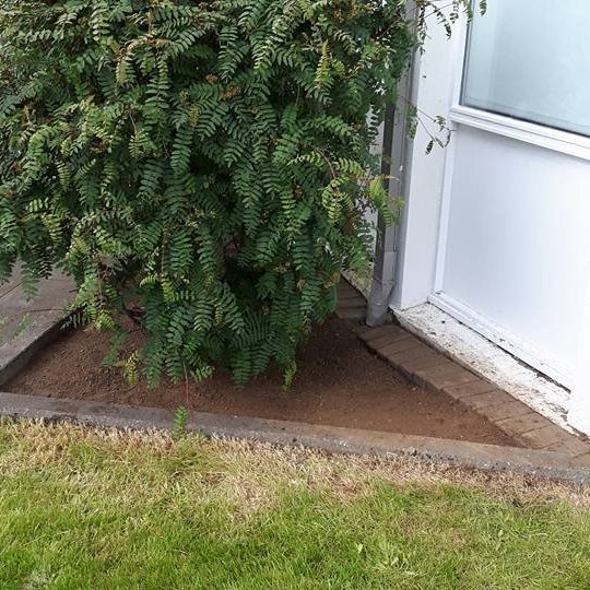 Beð eftir hreinsun og snyrtingu