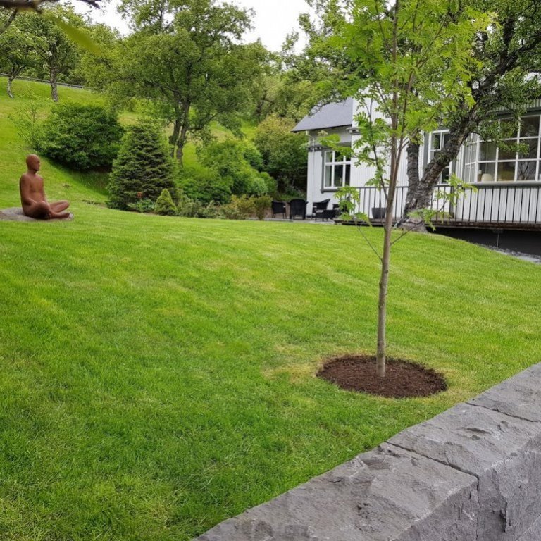 Beðahreinsun og kantskurður