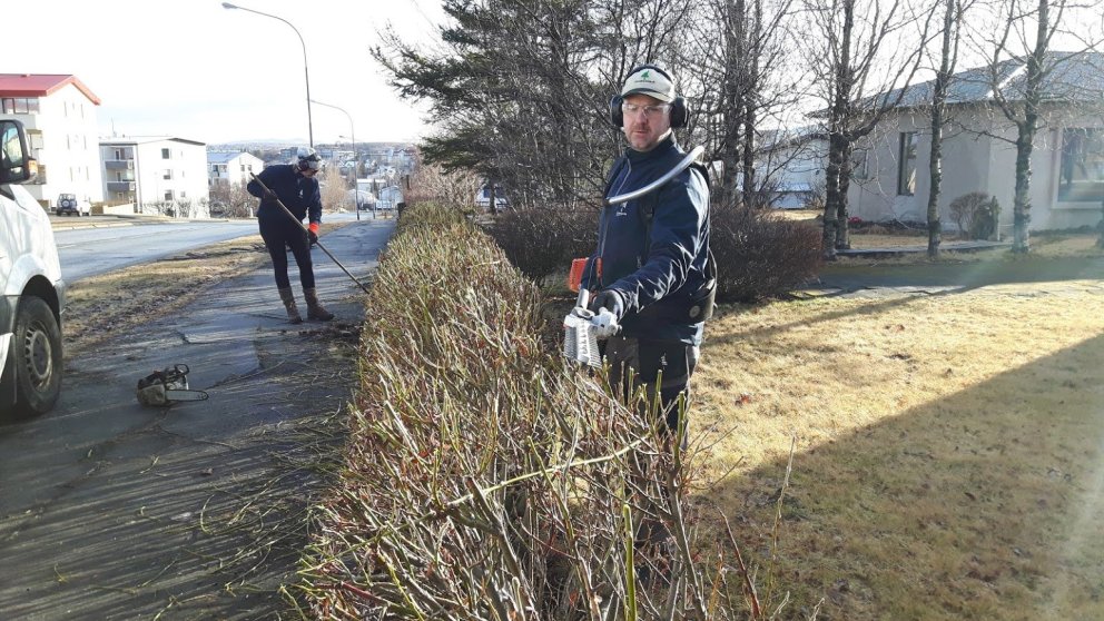 Er kominn tími á trjáklippingar / vetrarklippingar?