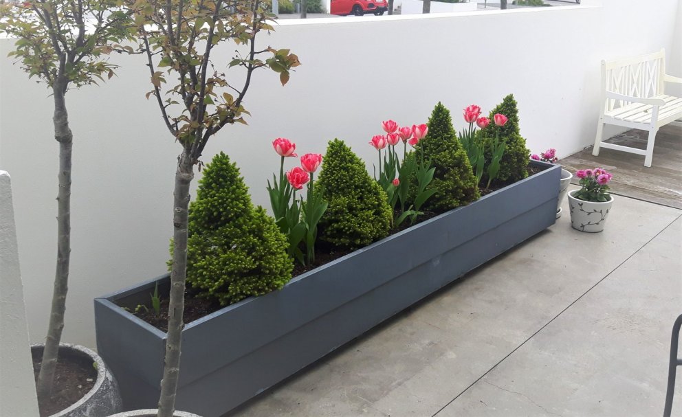 Nú er góður tími til að gera góð kaup á haustlaukum