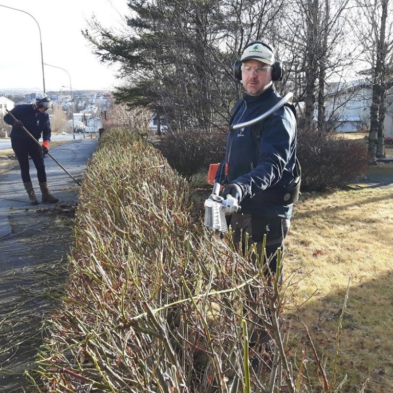 Er kominn tími á trjáklippingar / vetrarklippingar?