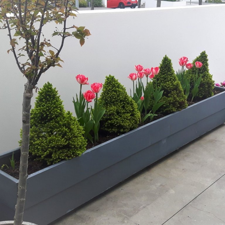 Nú er góður tími til að gera góð kaup á haustlaukum